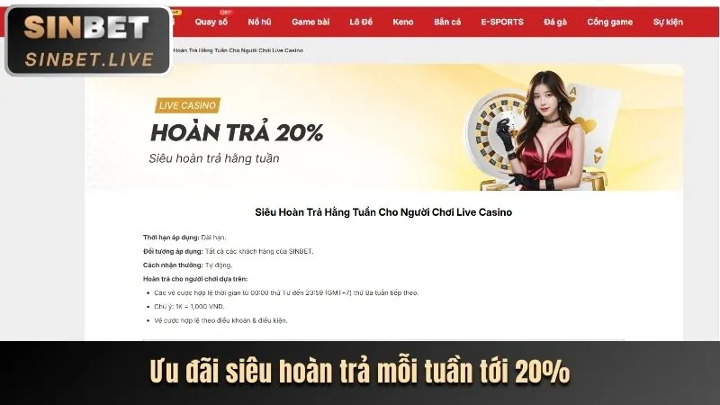 Các chương trình khuyến mãi